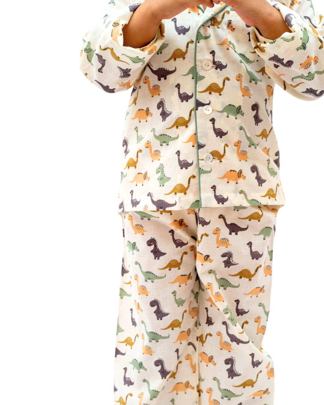 Dinosaur Night Suit