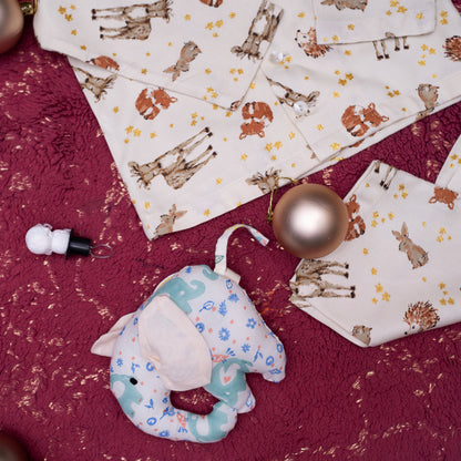 Kids Animal Night Suit